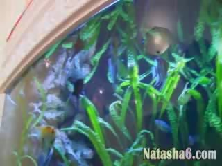 Дивіться мені фінгерінг пизда на в aquarium