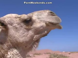 Vuxen video- weekends: tremendous het husmor spooned på den strand